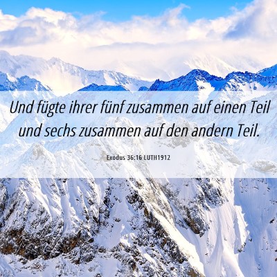 Picture 06 - Exodus 36:16 LUTH1912 - Und fügte ihrer fünf zusammen auf einen Teil - Bible Verse Picture