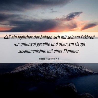 Picture 06 - Exodus 36:29 LUTH1912 - daß ein jegliches der beiden sich mit seinem - Bible Verse Picture