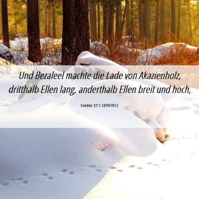 Picture 06 - Exodus 37:1 LUTH1912 - Und Bezaleel machte die Lade von Akazienholz, - Bible Verse Picture