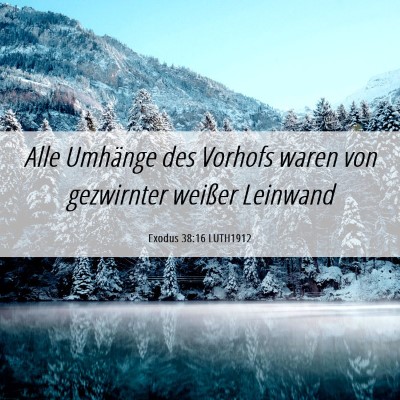 Picture 06 - Exodus 38:16 LUTH1912 - Alle Umhänge des Vorhofs waren von gezwirnter - Bible Verse Picture