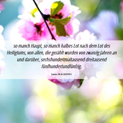 Picture 06 - Exodus 38:26 LUTH1912 - so manch Haupt, so manch halbes Lot nach dem Lot - Bible Verse Picture