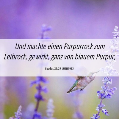 Picture 06 - Exodus 39:22 LUTH1912 - Und machte einen Purpurrock zum Leibrock, - Bible Verse Picture