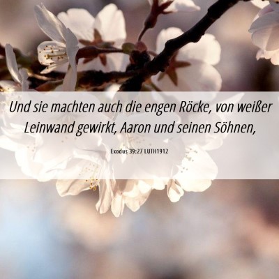 Picture 06 - Exodus 39:27 LUTH1912 - Und sie machten auch die engen Röcke, von - Bible Verse Picture
