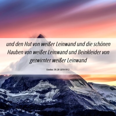 Picture 06 - Exodus 39:28 LUTH1912 - und den Hut von weißer Leinwand und die schönen - Bible Verse Picture
