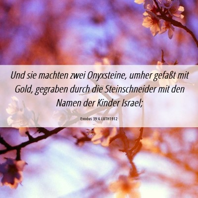 Picture 06 - Exodus 39:6 LUTH1912 - Und sie machten zwei Onyxsteine, umher gefaßt - Bible Verse Picture