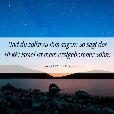 Picture 06 - Exodus 4:22 LUTH1912 - Und du sollst zu ihm sagen: So sagt der HERR: - Bible Verse Picture