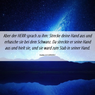 Picture 06 - Exodus 4:4 LUTH1912 - Aber der HERR sprach zu ihm: Strecke deine Hand - Bible Verse Picture