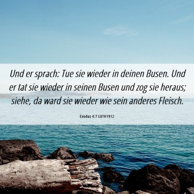 Picture 06 - Exodus 4:7 LUTH1912 - Und er sprach: Tue sie wieder in deinen Busen. - Bible Verse Picture