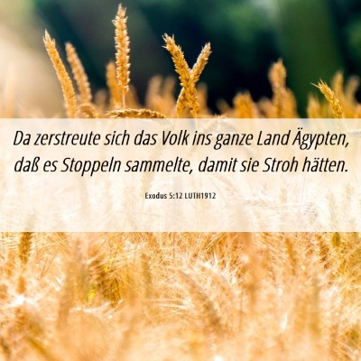 Picture 06 - Exodus 5:12 LUTH1912 - Da zerstreute sich das Volk ins ganze Land - Bible Verse Picture