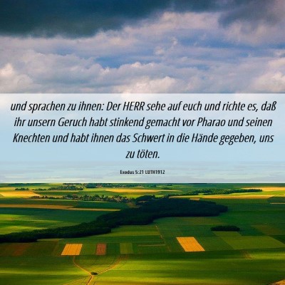 Picture 06 - Exodus 5:21 LUTH1912 - und sprachen zu ihnen: Der HERR sehe auf euch und - Bible Verse Picture