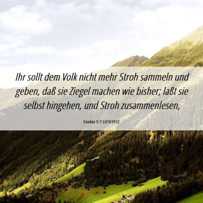 Picture 06 - Exodus 5:7 LUTH1912 - Ihr sollt dem Volk nicht mehr Stroh sammeln und - Bible Verse Picture