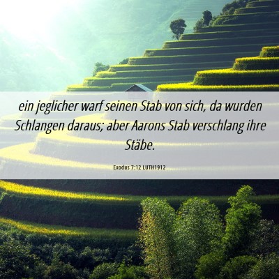 Picture 06 - Exodus 7:12 LUTH1912 - ein jeglicher warf seinen Stab von sich, da - Bible Verse Picture