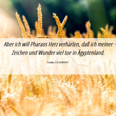 Picture 06 - Exodus 7:3 LUTH1912 - Aber ich will Pharaos Herz verhärten, daß ich - Bible Verse Picture