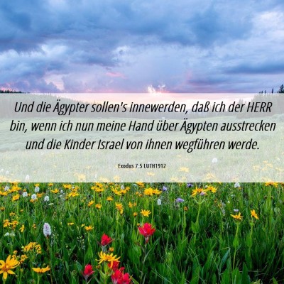 Picture 06 - Exodus 7:5 LUTH1912 - Und die Ägypter sollen's innewerden, daß ich - Bible Verse Picture