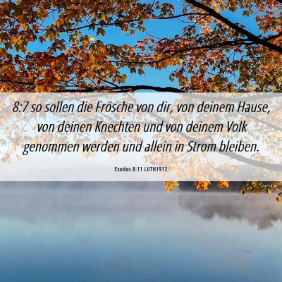 Picture 06 - Exodus 8:11 LUTH1912 - 8:7 so sollen die Frösche von dir, von deinem - Bible Verse Picture