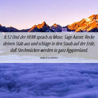Picture 06 - Exodus 8:16 LUTH1912 - 8:12 Und der HERR sprach zu Mose: Sage Aaron: - Bible Verse Picture