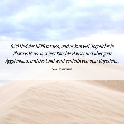 Picture 06 - Exodus 8:24 LUTH1912 - 8:20 Und der HERR tat also, und es kam viel - Bible Verse Picture