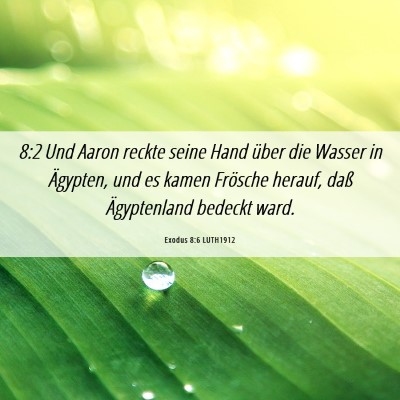 Picture 06 - Exodus 8:6 LUTH1912 - 8:2 Und Aaron reckte seine Hand über die Wasser - Bible Verse Picture