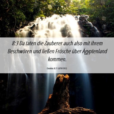 Picture 06 - Exodus 8:7 LUTH1912 - 8:3 Da taten die Zauberer auch also mit ihrem - Bible Verse Picture