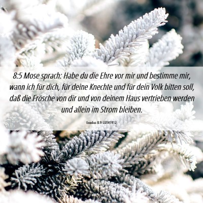 Picture 06 - Exodus 8:9 LUTH1912 - 8:5 Mose sprach: Habe du die Ehre vor mir und - Bible Verse Picture