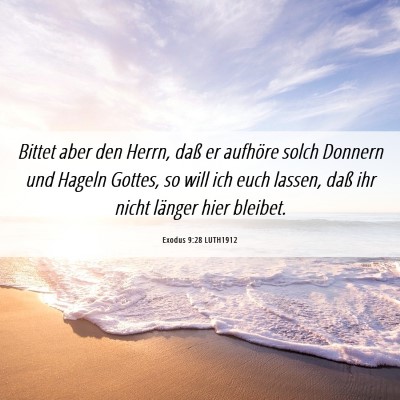 Picture 06 - Exodus 9:28 LUTH1912 - Bittet aber den Herrn, daß er aufhöre solch - Bible Verse Picture