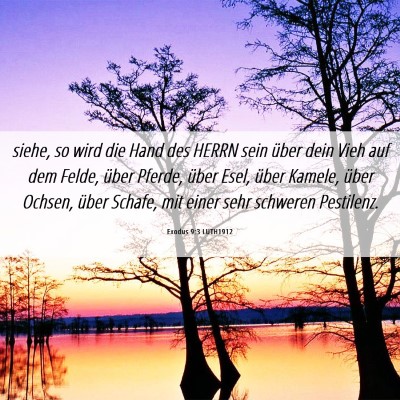 Picture 06 - Exodus 9:3 LUTH1912 - siehe, so wird die Hand des HERRN sein über dein - Bible Verse Picture