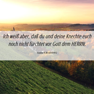 Picture 06 - Exodus 9:30 LUTH1912 - Ich weiß aber, daß du und deine Knechte euch - Bible Verse Picture