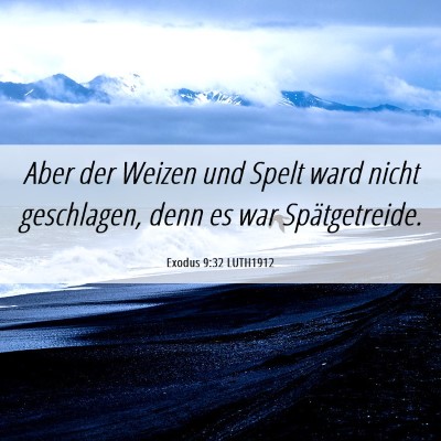 Picture 06 - Exodus 9:32 LUTH1912 - Aber der Weizen und Spelt ward nicht geschlagen, - Bible Verse Picture