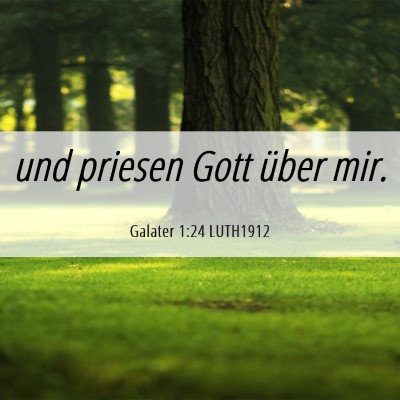 Picture 06 - Galater 1:24 LUTH1912 - und priesen Gott über - Bible Verse Picture