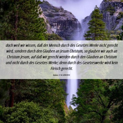 Picture 06 - Galater 2:16 LUTH1912 - doch weil wir wissen, daß der Mensch durch des - Bible Verse Picture