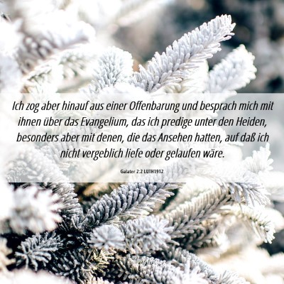Picture 06 - Galater 2:2 LUTH1912 - Ich zog aber hinauf aus einer Offenbarung und - Bible Verse Picture