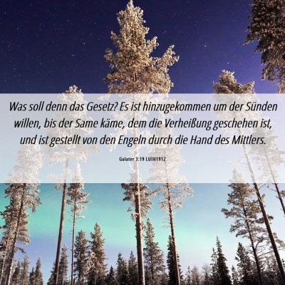 Picture 06 - Galater 3:19 LUTH1912 - Was soll denn das Gesetz? Es ist hinzugekommen um - Bible Verse Picture