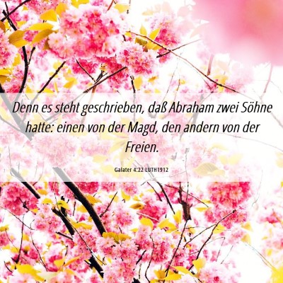 Picture 06 - Galater 4:22 LUTH1912 - Denn es steht geschrieben, daß Abraham zwei - Bible Verse Picture