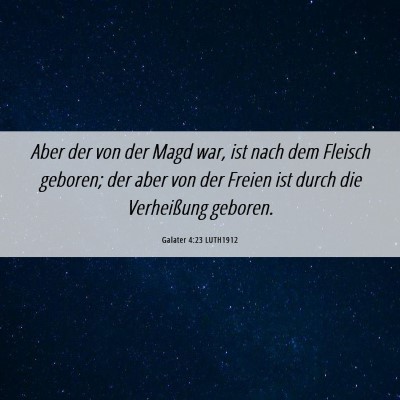 Picture 06 - Galater 4:23 LUTH1912 - Aber der von der Magd war, ist nach dem Fleisch - Bible Verse Picture