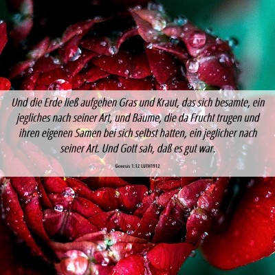 Picture 06 - Genesis 1:12 LUTH1912 - Und die Erde ließ aufgehen Gras und Kraut, das - Bible Verse Picture
