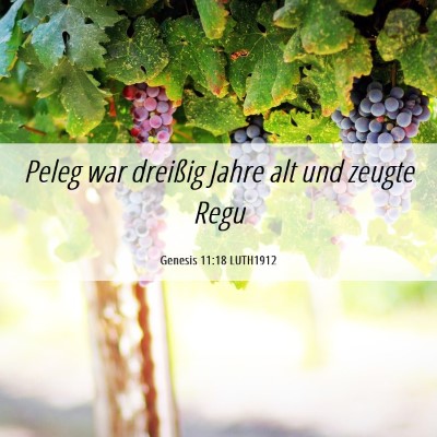 Picture 06 - Genesis 11:18 LUTH1912 - Peleg war dreißig Jahre alt und zeugte - Bible Verse Picture