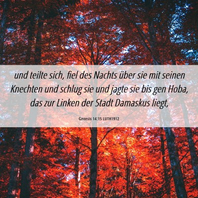 Picture 06 - Genesis 14:15 LUTH1912 - und teilte sich, fiel des Nachts über sie mit - Bible Verse Picture