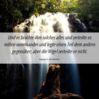 Picture 06 - Genesis 15:10 LUTH1912 - Und er brachte ihm solches alles und zerteilte es - Bible Verse Picture