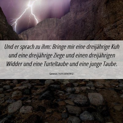 Picture 06 - Genesis 15:9 LUTH1912 - Und er sprach zu ihm: Bringe mir eine - Bible Verse Picture
