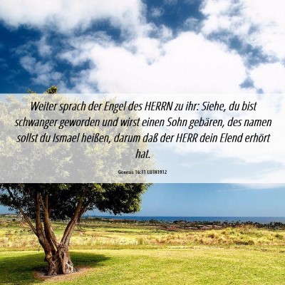 Picture 06 - Genesis 16:11 LUTH1912 - Weiter sprach der Engel des HERRN zu ihr: Siehe, - Bible Verse Picture