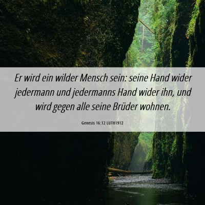 Picture 06 - Genesis 16:12 LUTH1912 - Er wird ein wilder Mensch sein: seine Hand wider - Bible Verse Picture