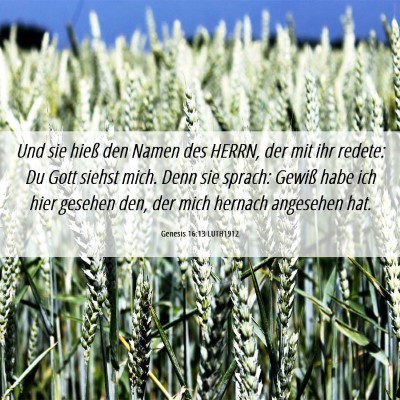 Picture 06 - Genesis 16:13 LUTH1912 - Und sie hieß den Namen des HERRN, der mit ihr - Bible Verse Picture