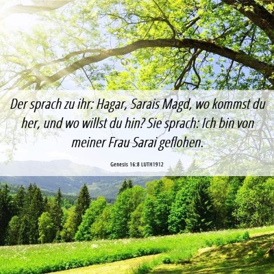 Picture 06 - Genesis 16:8 LUTH1912 - Der sprach zu ihr: Hagar, Sarais Magd, wo kommst - Bible Verse Picture