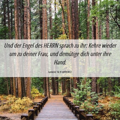 Picture 06 - Genesis 16:9 LUTH1912 - Und der Engel des HERRN sprach zu ihr: Kehre - Bible Verse Picture