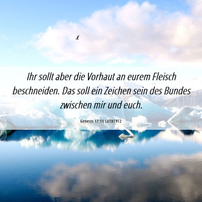 Picture 06 - Genesis 17:11 LUTH1912 - Ihr sollt aber die Vorhaut an eurem Fleisch - Bible Verse Picture