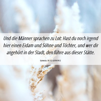 Picture 06 - Genesis 19:12 LUTH1912 - Und die Männer sprachen zu Lot: Hast du noch - Bible Verse Picture