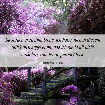 Picture 06 - Genesis 19:21 LUTH1912 - Da sprach er zu ihm: Siehe, ich habe auch in - Bible Verse Picture