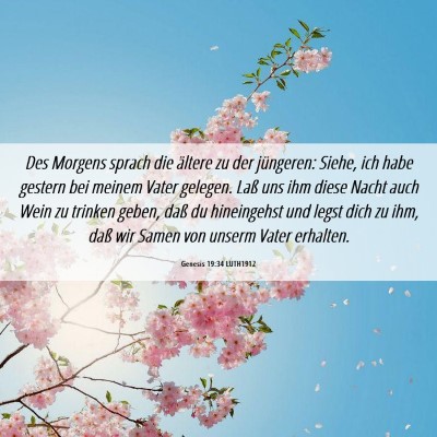 Picture 06 - Genesis 19:34 LUTH1912 - Des Morgens sprach die ältere zu der jüngeren: - Bible Verse Picture