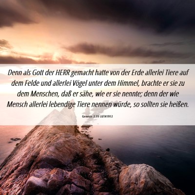 Picture 06 - Genesis 2:19 LUTH1912 - Denn als Gott der HERR gemacht hatte von der Erde - Bible Verse Picture