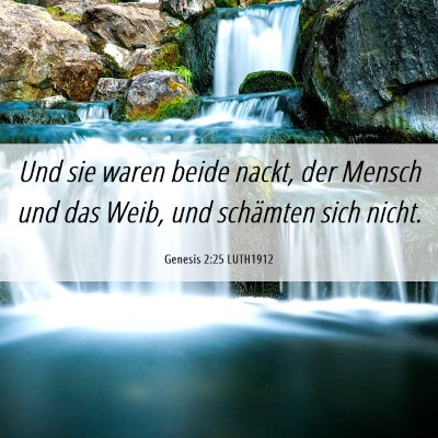 Picture 06 - Genesis 2:25 LUTH1912 - Und sie waren beide nackt, der Mensch und das - Bible Verse Picture